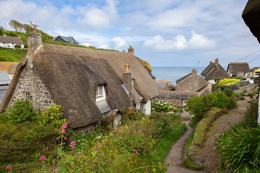 Cottages with thatched roofs after lawn dethatching.