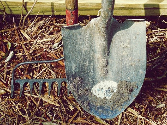 Essential Gardening Tools You Must Have