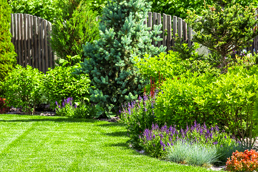 How Landscaping Can Increase Your Home's Value