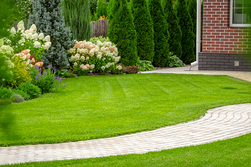 Tips To Bring Your Lawn Back To Life