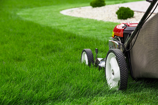 Tips To Remember When Mowing Your Lawn