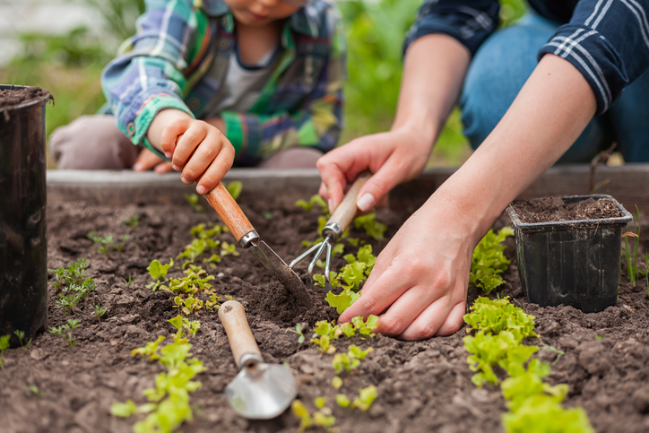How do you know when to start planting your garden?
