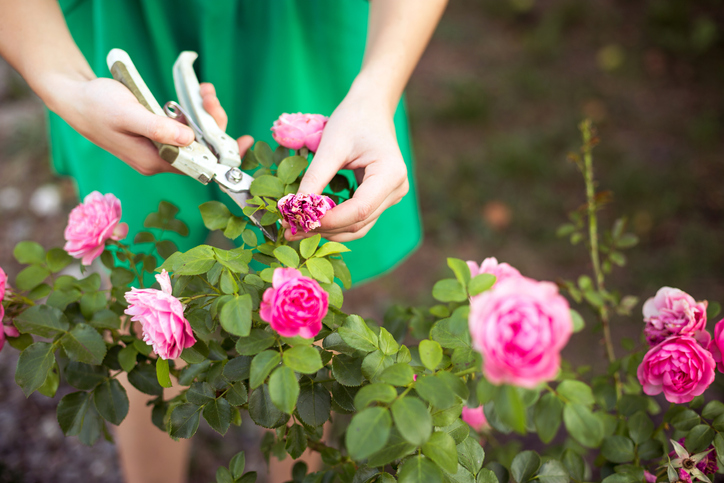 End of summer landscaping tips will keep your lawn looking great!