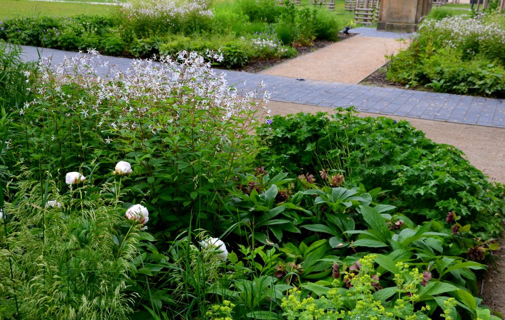 Giovine Landscaping has compiled this guide to rain gardens to educate homeowners about this eco-friendly and beautiful landscape feature.